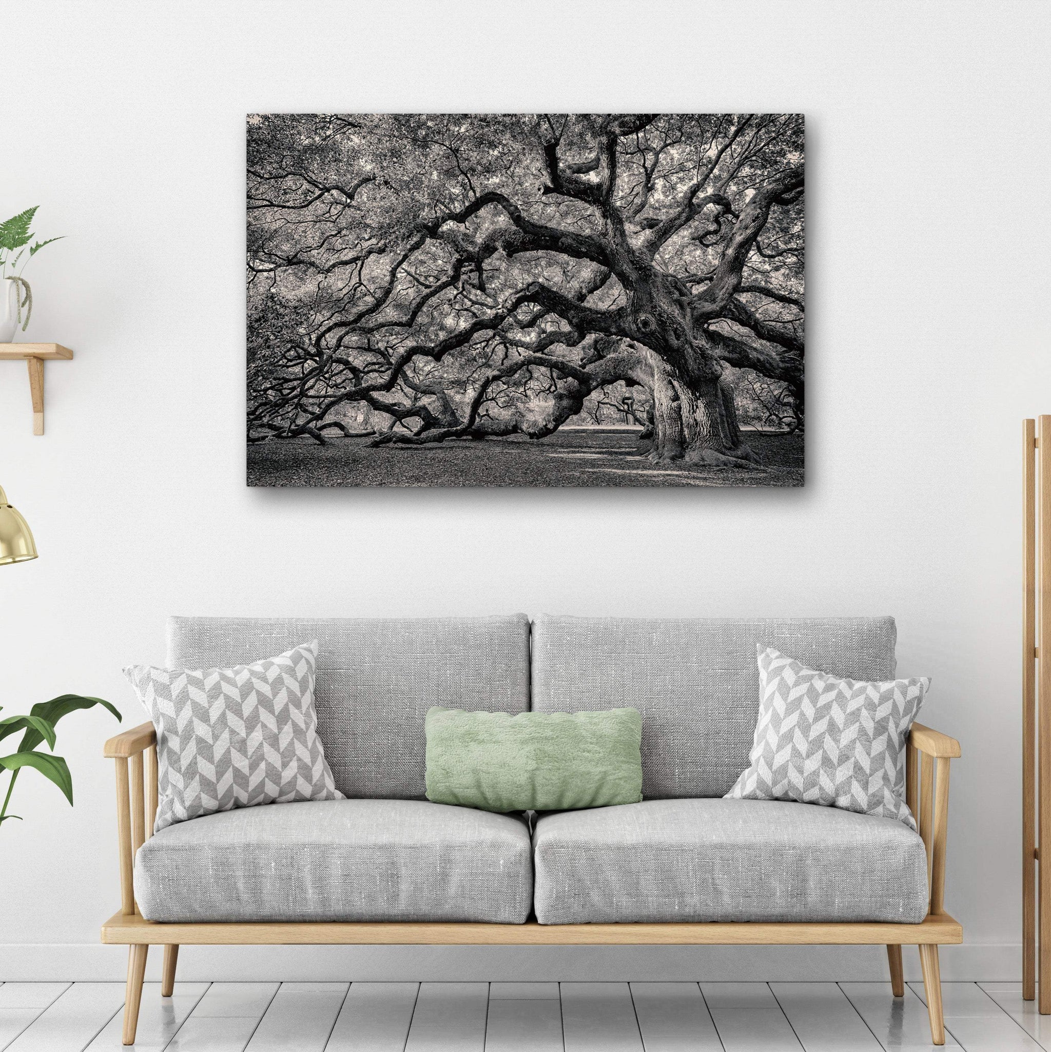 Monochrome Angel Oak Tree Canvas Wall Art - Tailored Canvases - Flyclothing LLC