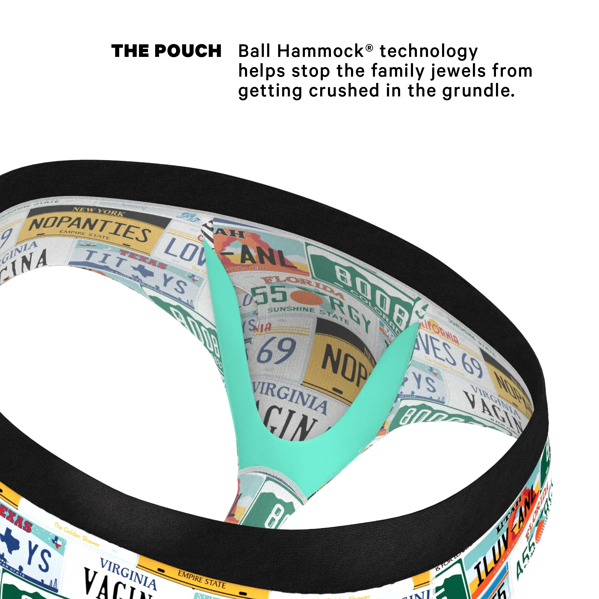 The DMV Catastrophe | License Plates Ball Hammock® Pouch Underwear Briefs - Shinesty - Flyclothing LLC