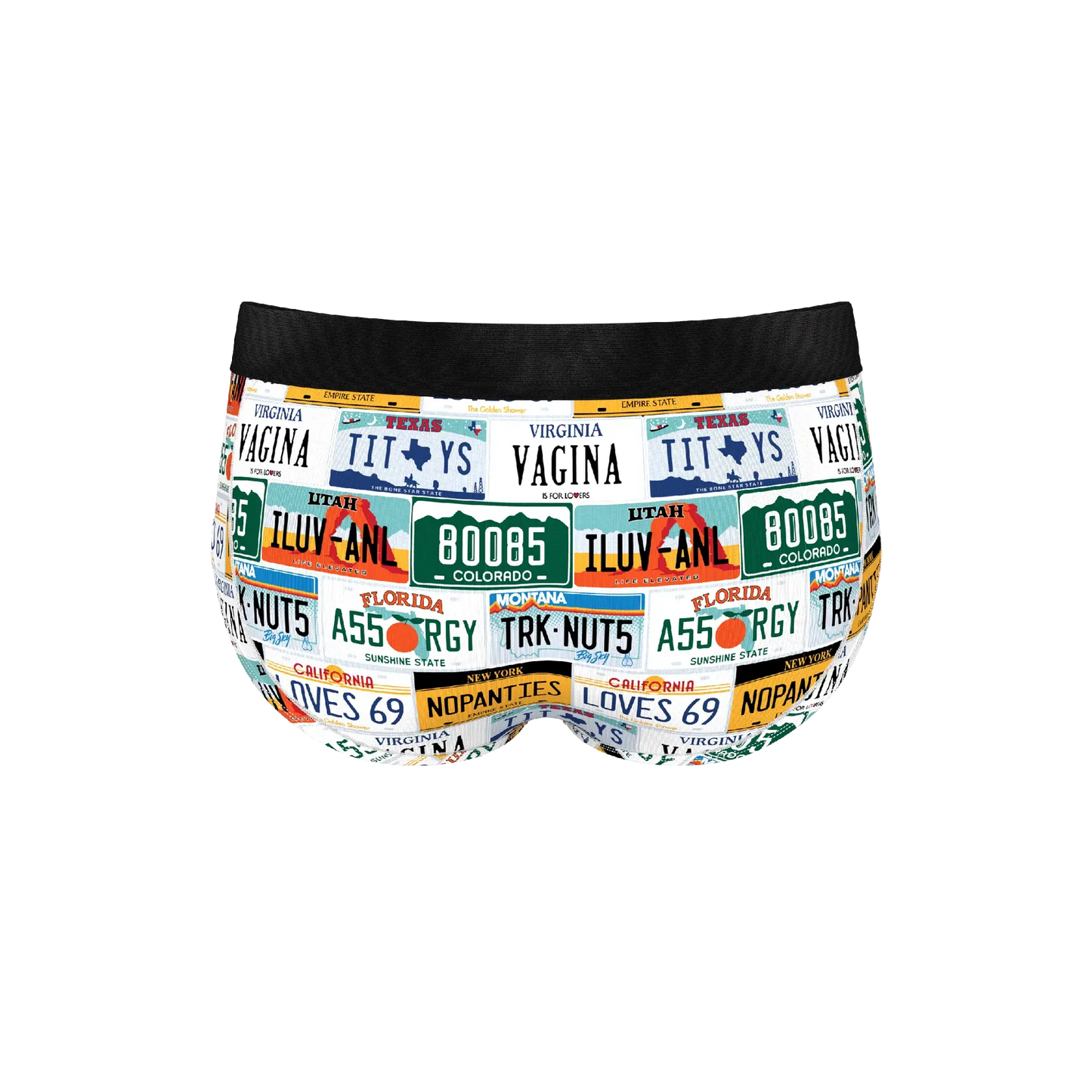 The DMV Catastrophe | License Plates Ball Hammock® Pouch Underwear Briefs - Shinesty - Flyclothing LLC