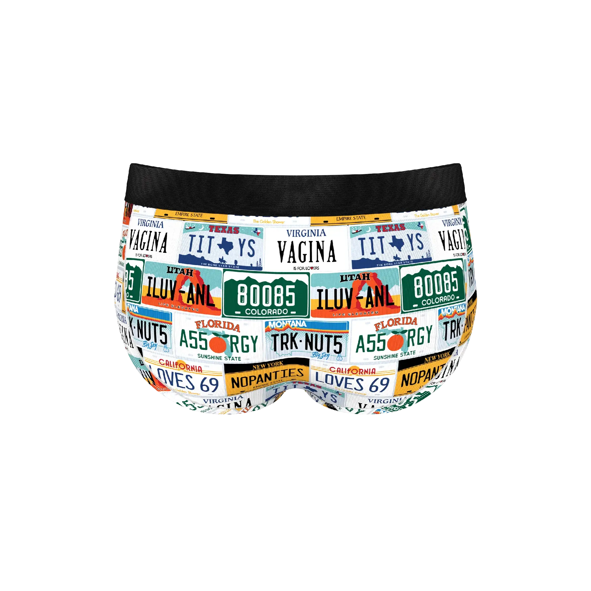 The DMV Catastrophe | License Plates Ball Hammock® Pouch Underwear Briefs - Shinesty - Flyclothing LLC