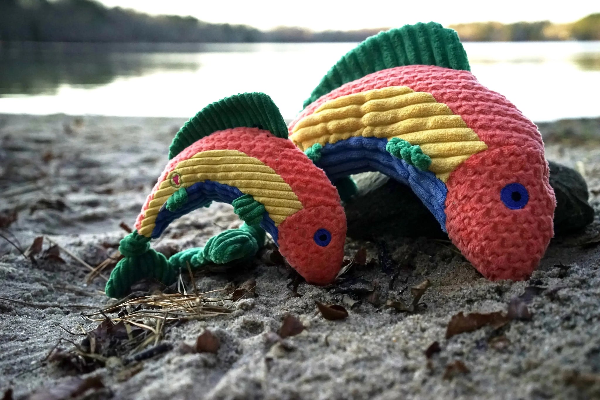 Raucous Rainbow Trout Knottie® Plush Dog Toy - HuggleHounds - Flyclothing LLC