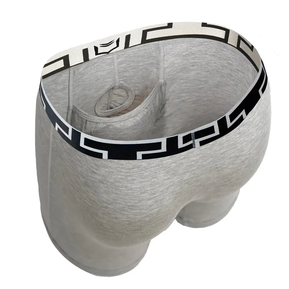 SHEATH V Bamboo Titan Men's Pouch Boxer Brief 8" - SHEATH UNDERWEAR - Flyclothing LLC