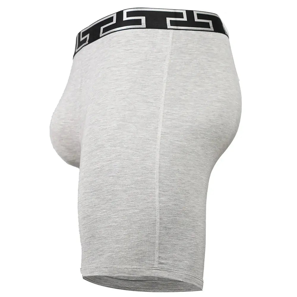 SHEATH V Bamboo Titan Men's Pouch Boxer Brief 8" - SHEATH UNDERWEAR - Flyclothing LLC