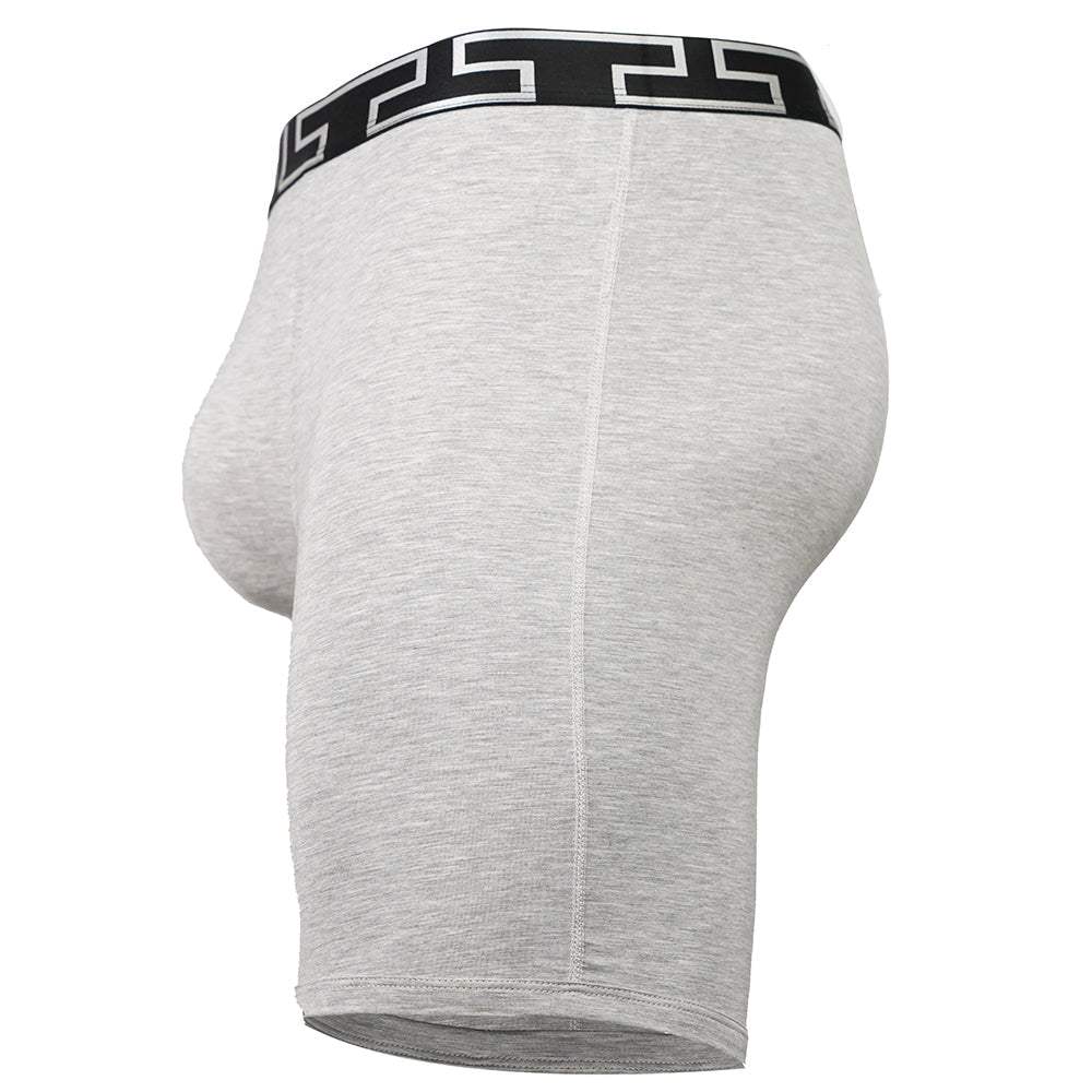 SHEATH V Bamboo Titan Men's Pouch Boxer Brief 8" - SHEATH UNDERWEAR - Flyclothing LLC