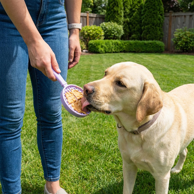 eStick Hand-Held Dog Enrichment Target Training Toy - Interactive Lick Stick | USA Made - SodaPup/True Dogs, LLC - Flyclothing LLC