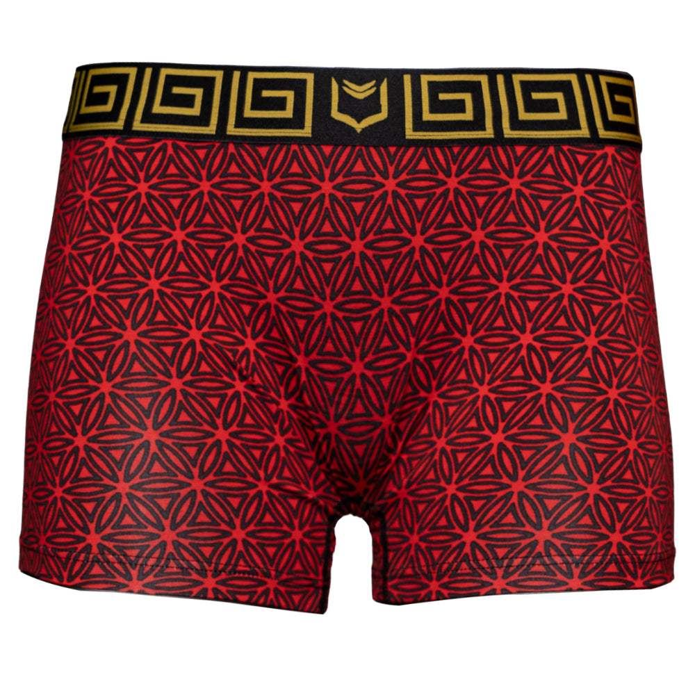 SHEATH Women's Modal Boxer Brief - SHEATH UNDERWEAR - Flyclothing LLC