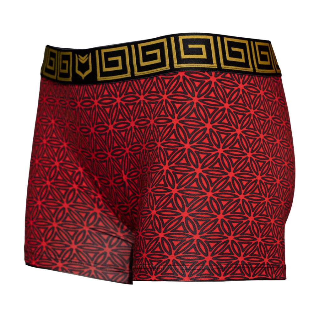 SHEATH Women's Modal Boxer Brief - SHEATH UNDERWEAR - Flyclothing LLC