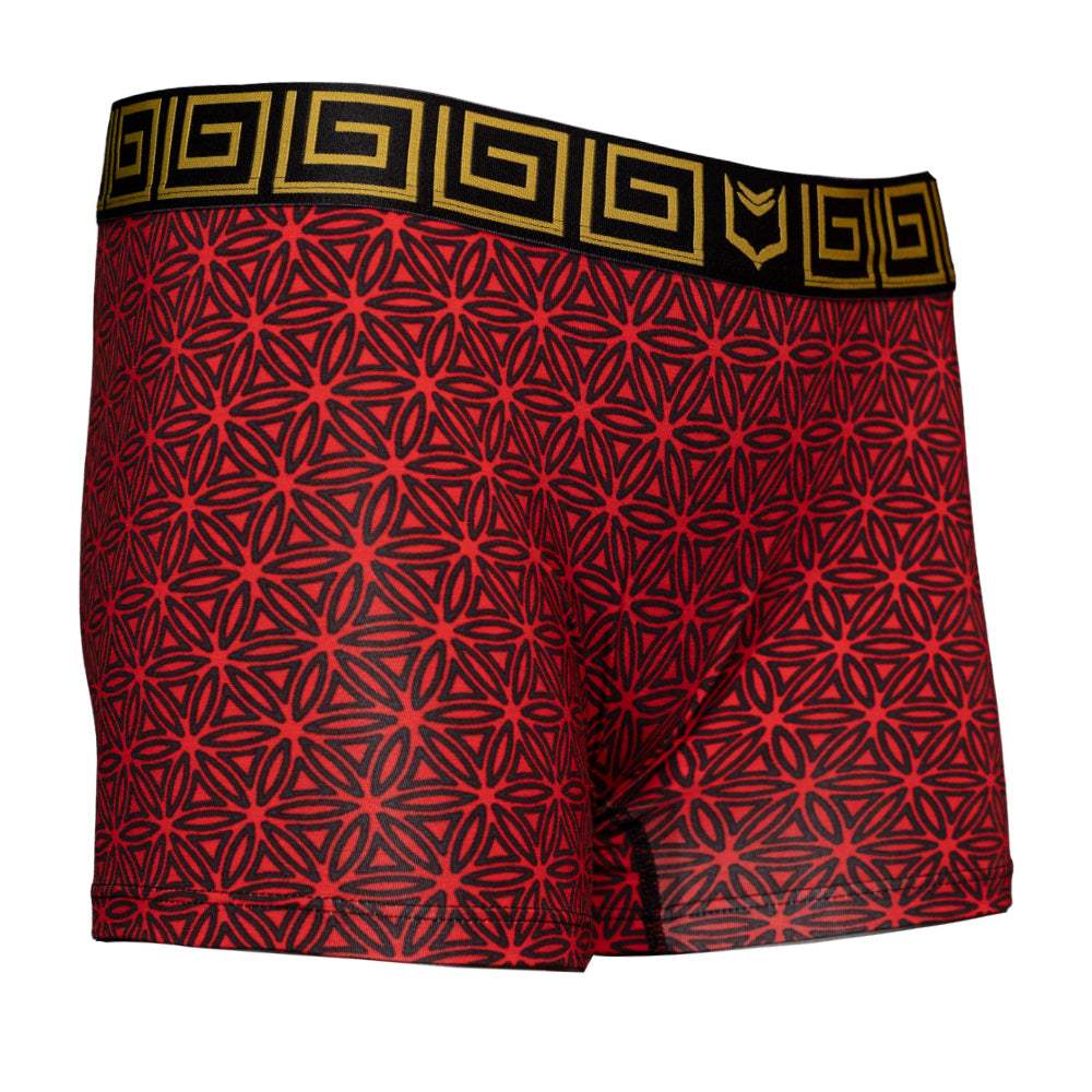 SHEATH Women's Modal Boxer Brief - SHEATH UNDERWEAR - Flyclothing LLC