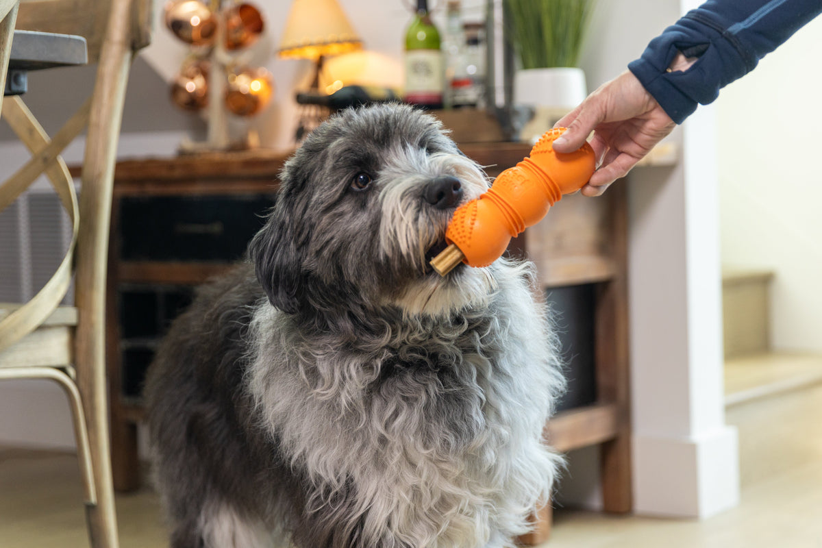 Flossr™ - West Paw - Flyclothing LLC