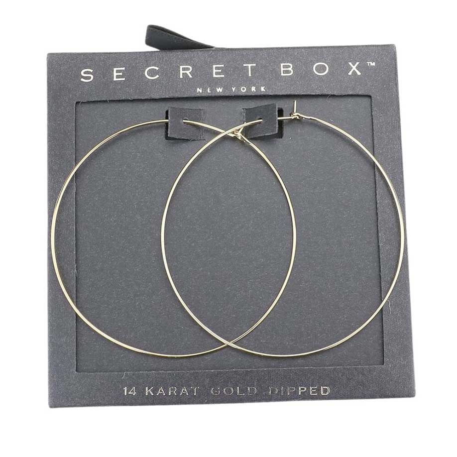 Secret Box 14K Gold Dipped Metal Hoop Earrings - Madeline Love - Flyclothing LLC