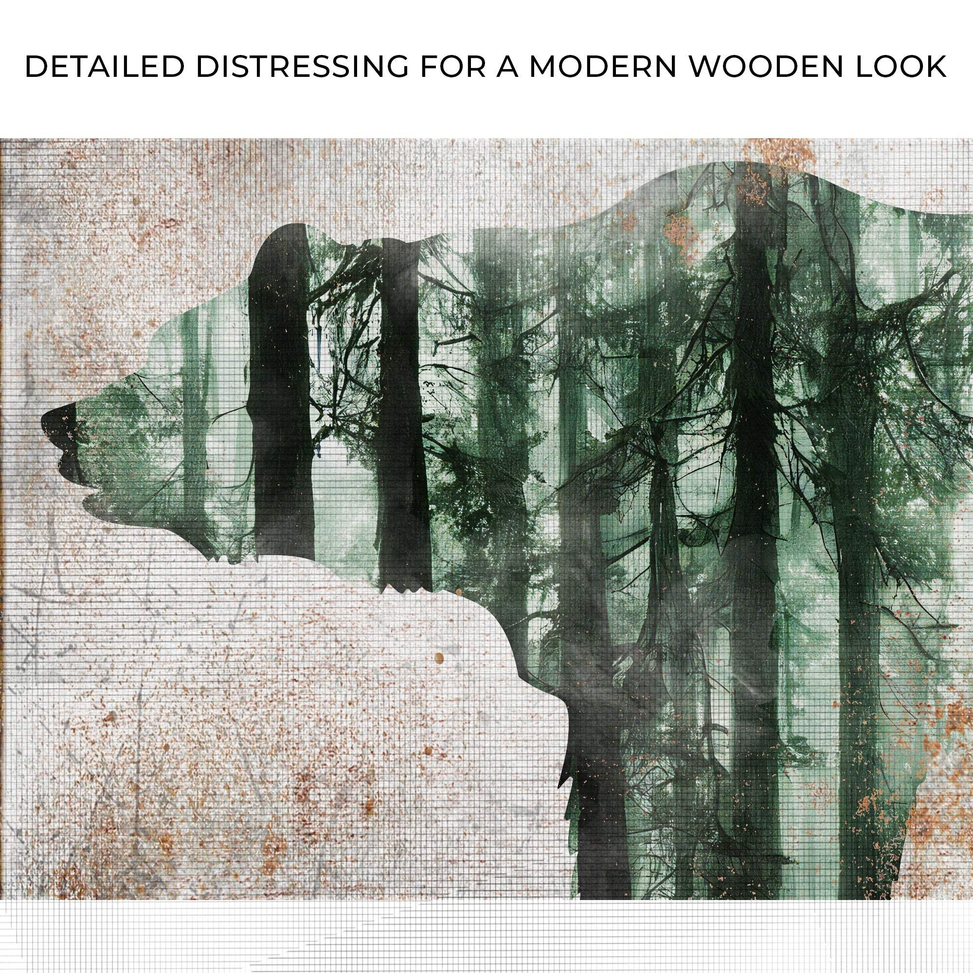 Animals Forest Bear Birch Canvas Wall Art - Tailored Canvases - Flyclothing LLC