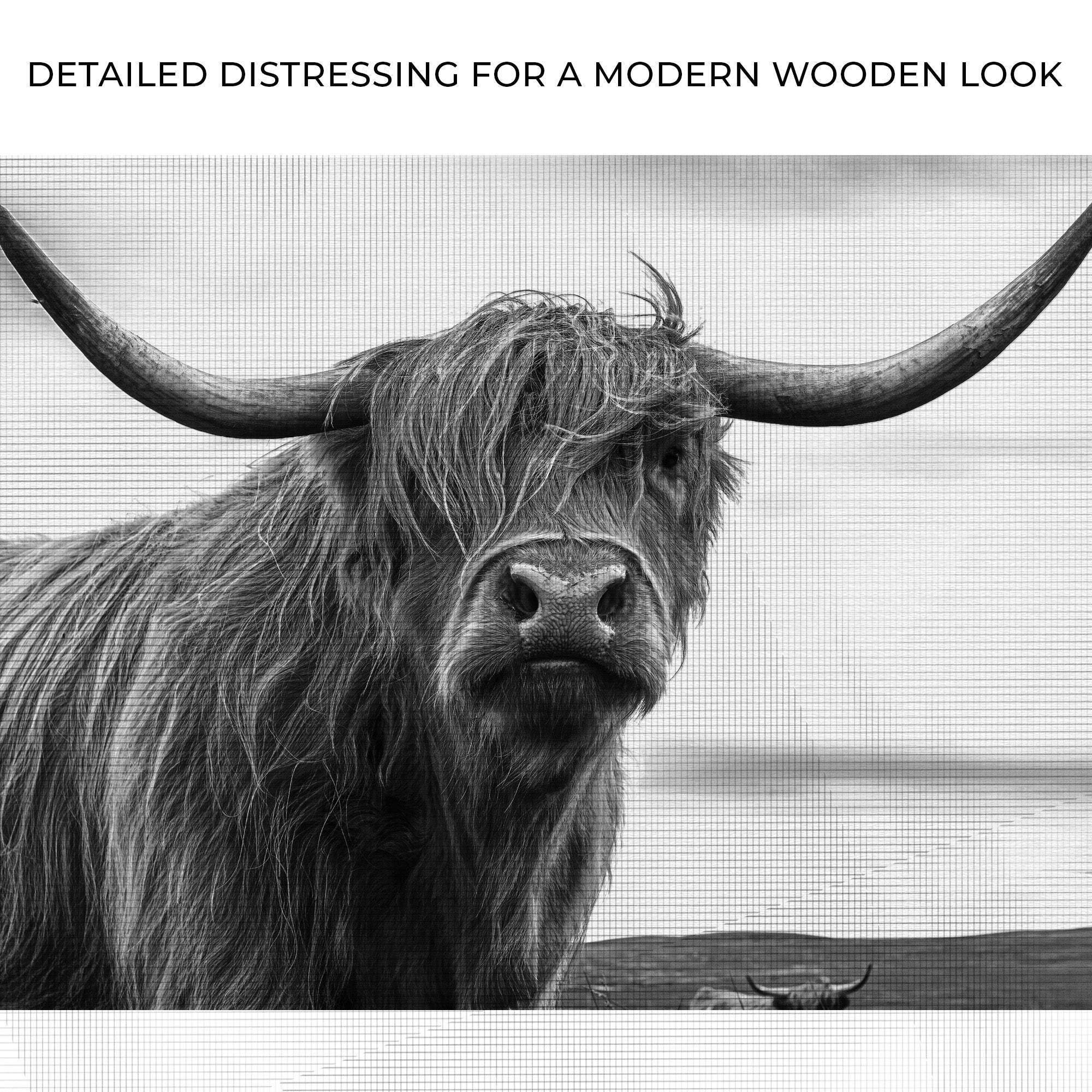 Highland Cow Black And White Portrait Canvas Wall Art - Tailored Canvases - Flyclothing LLC