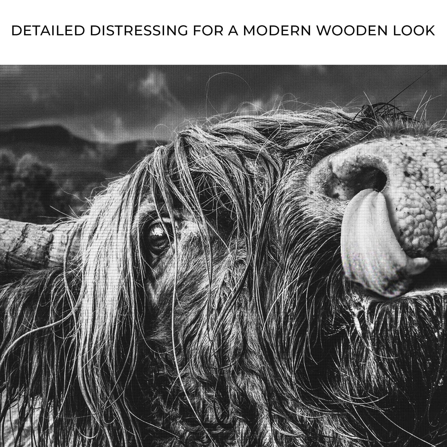 West Highland Cow Monochrome Canvas Wall Art - Tailored Canvases - Flyclothing LLC