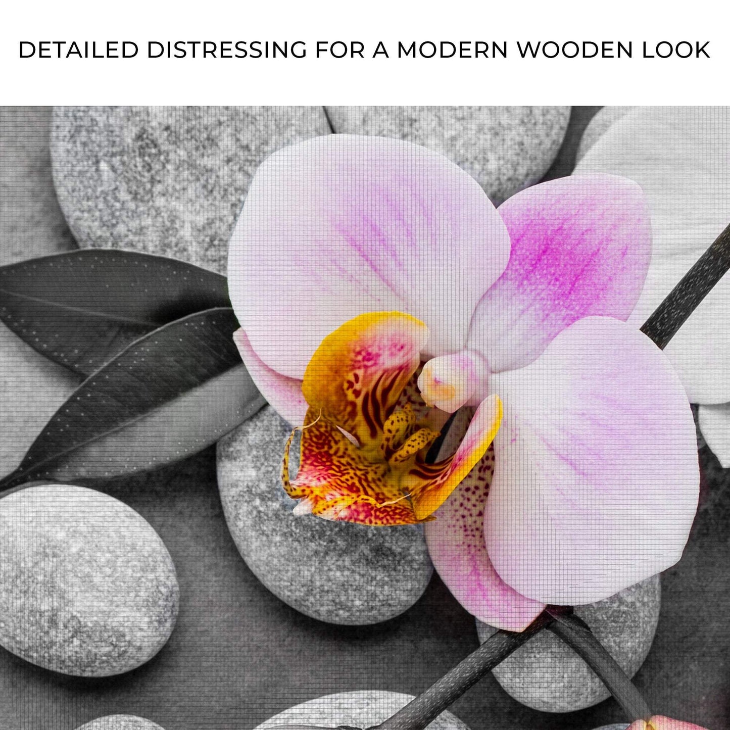 Fresh White Orchid Flower Canvas Wall Art - Tailored Canvases - Flyclothing LLC