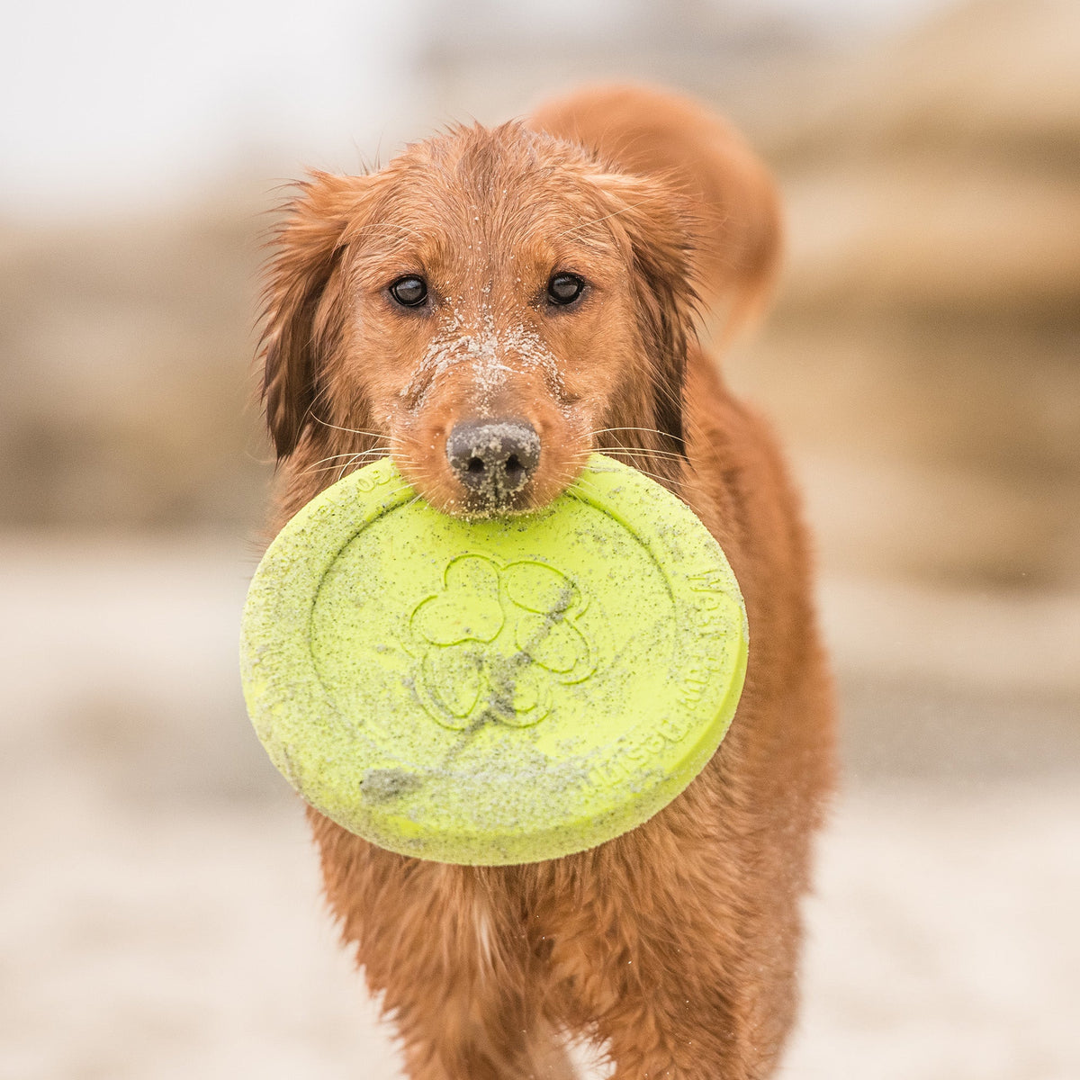 Zisc - West Paw - Flyclothing LLC