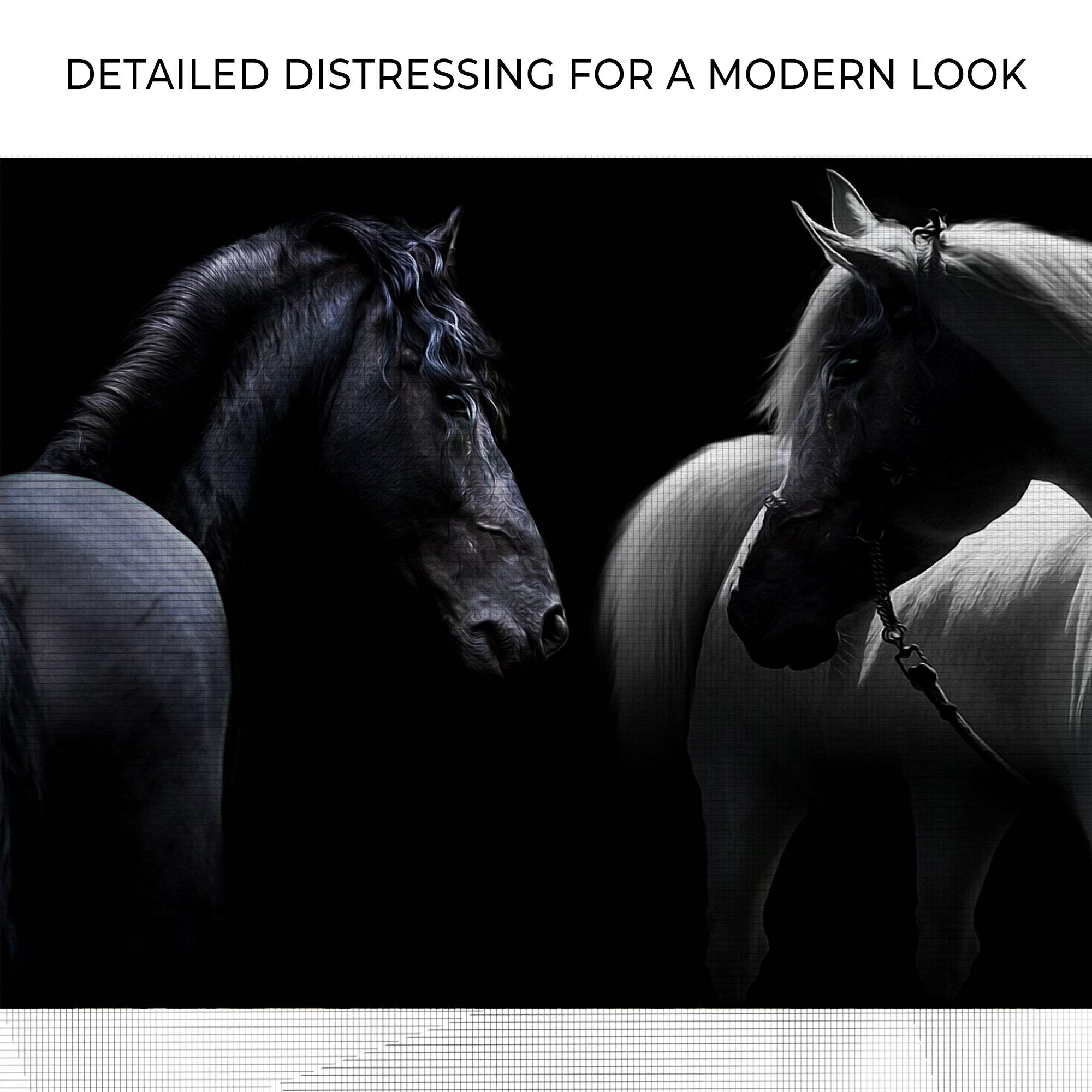 Monochromatic Horses Canvas Wall Art - Tailored Canvases - Flyclothing LLC