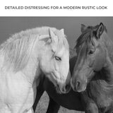 Horse Love Canvas Wall Art - Tailored Canvases - Flyclothing LLC
