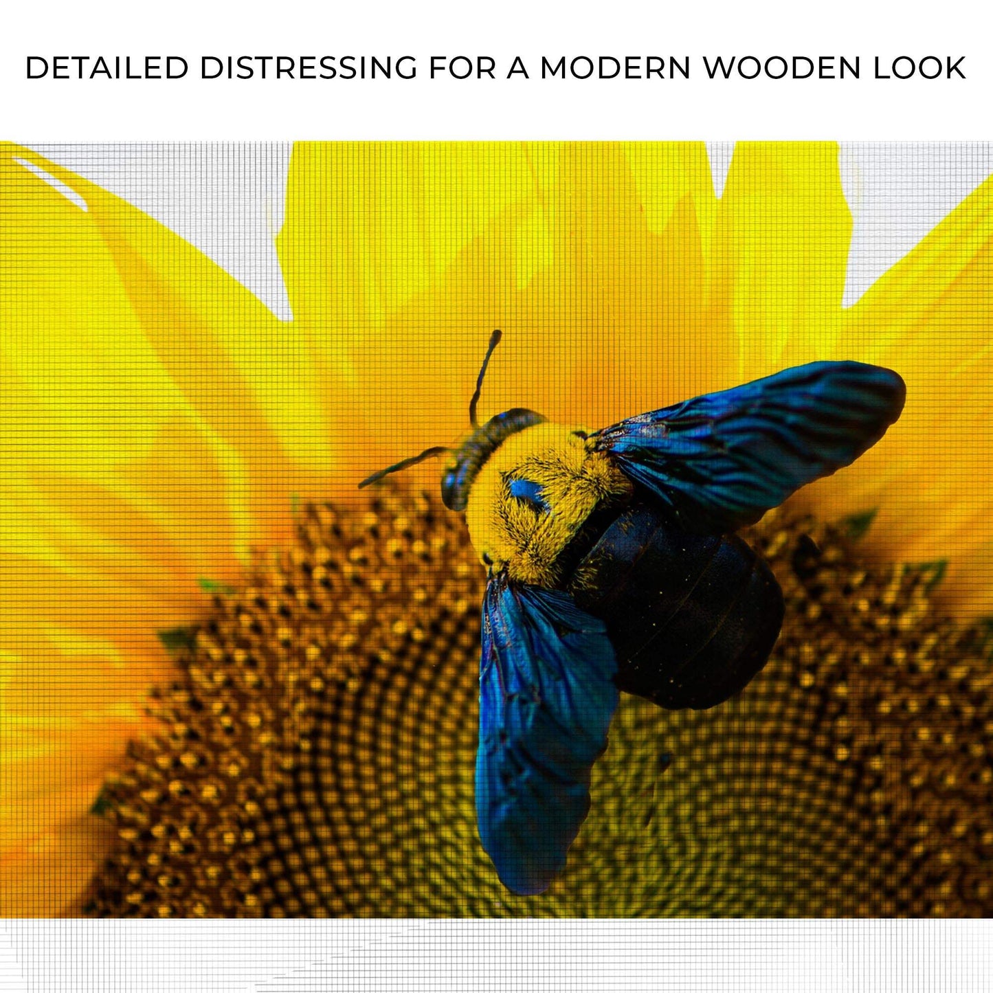 Bee Hoverfly Above A Sunflower Canvas Wall Art - Tailored Canvases - Flyclothing LLC