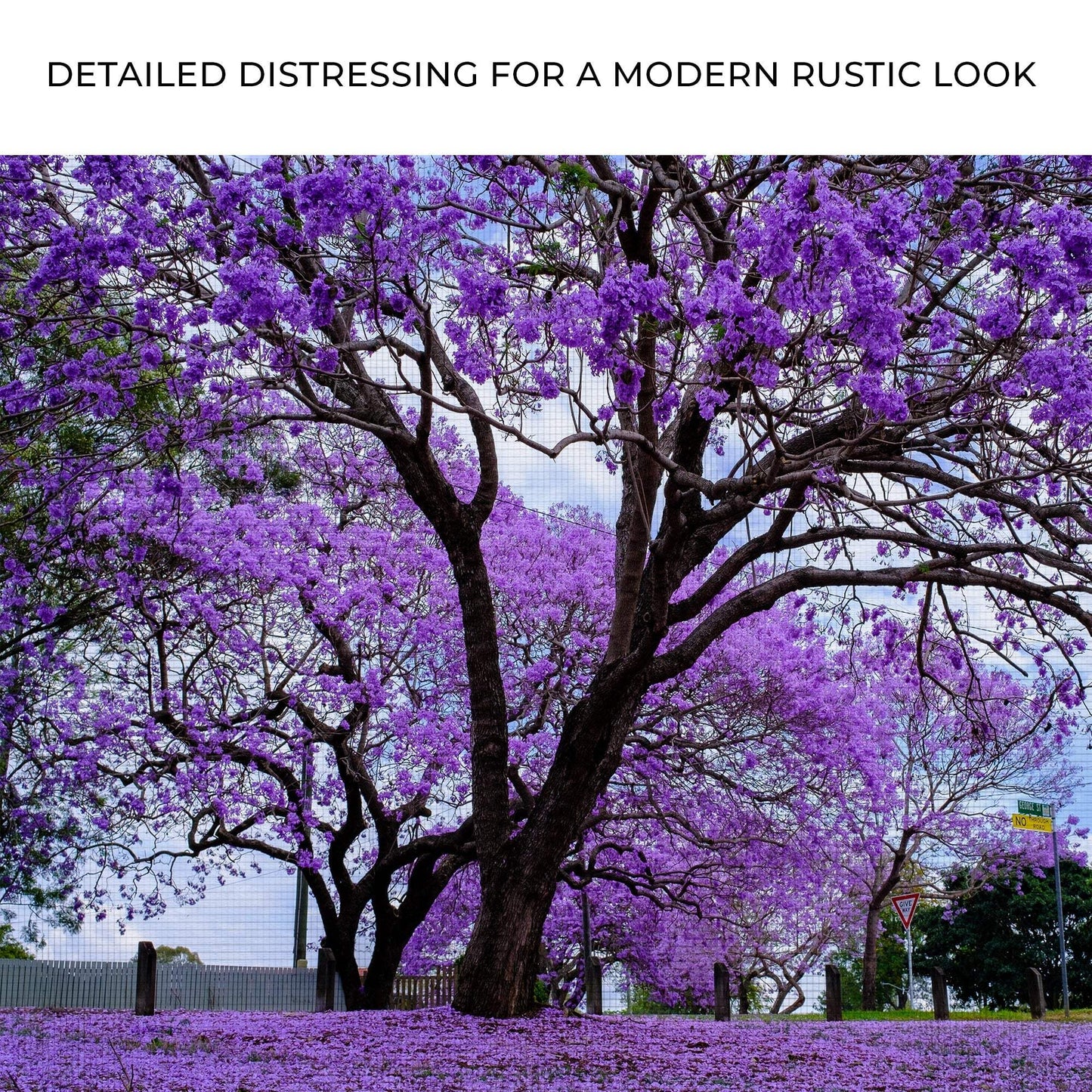 Jacaranda Trees Canvas Wall Art - Tailored Canvases - Flyclothing LLC