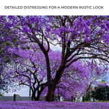 Jacaranda Trees Canvas Wall Art - Tailored Canvases - Flyclothing LLC