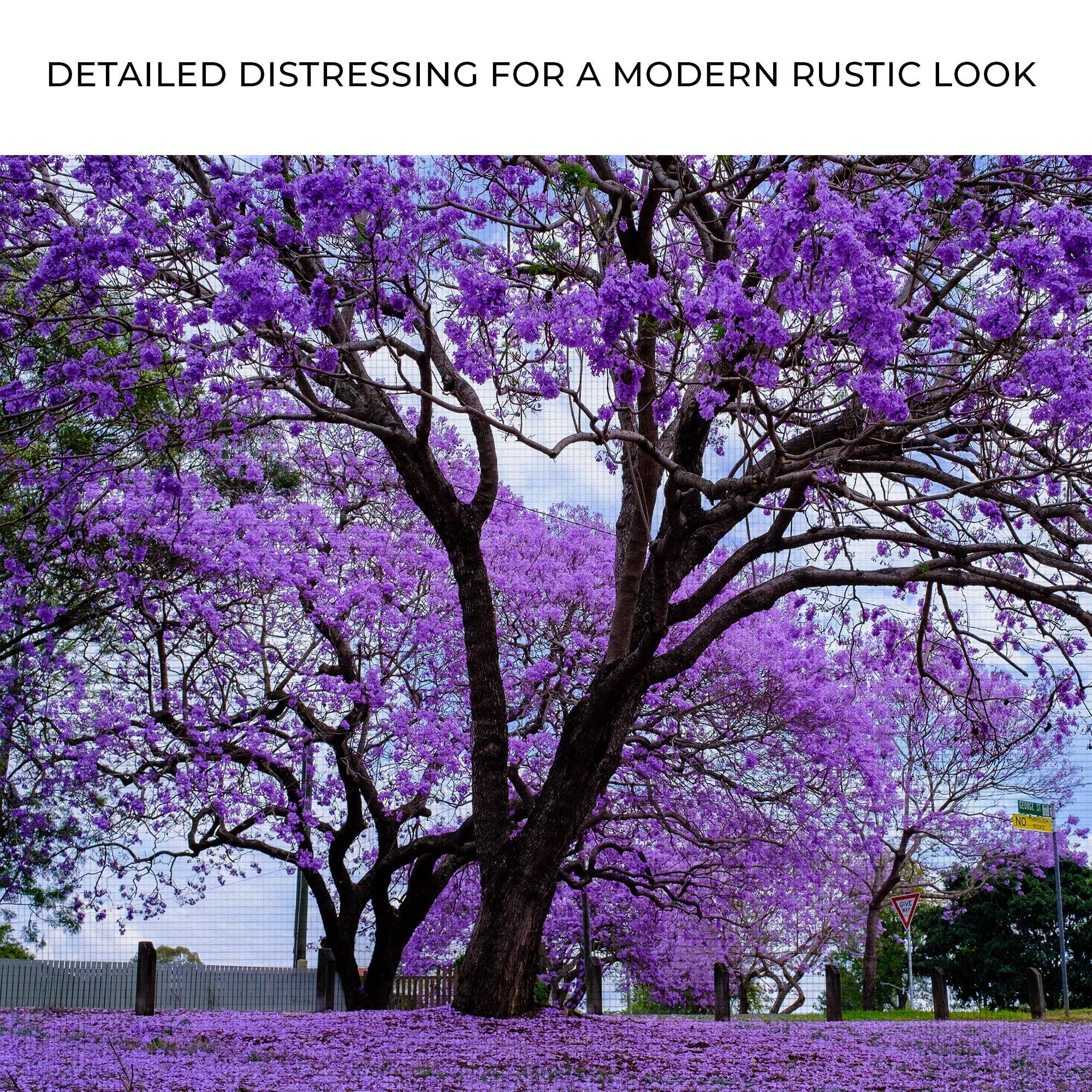 Jacaranda Trees Canvas Wall Art - Tailored Canvases - Flyclothing LLC