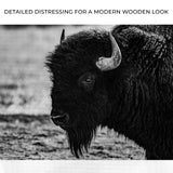 Black and White Bison Canvas Wall Art - Tailored Canvases - Flyclothing LLC
