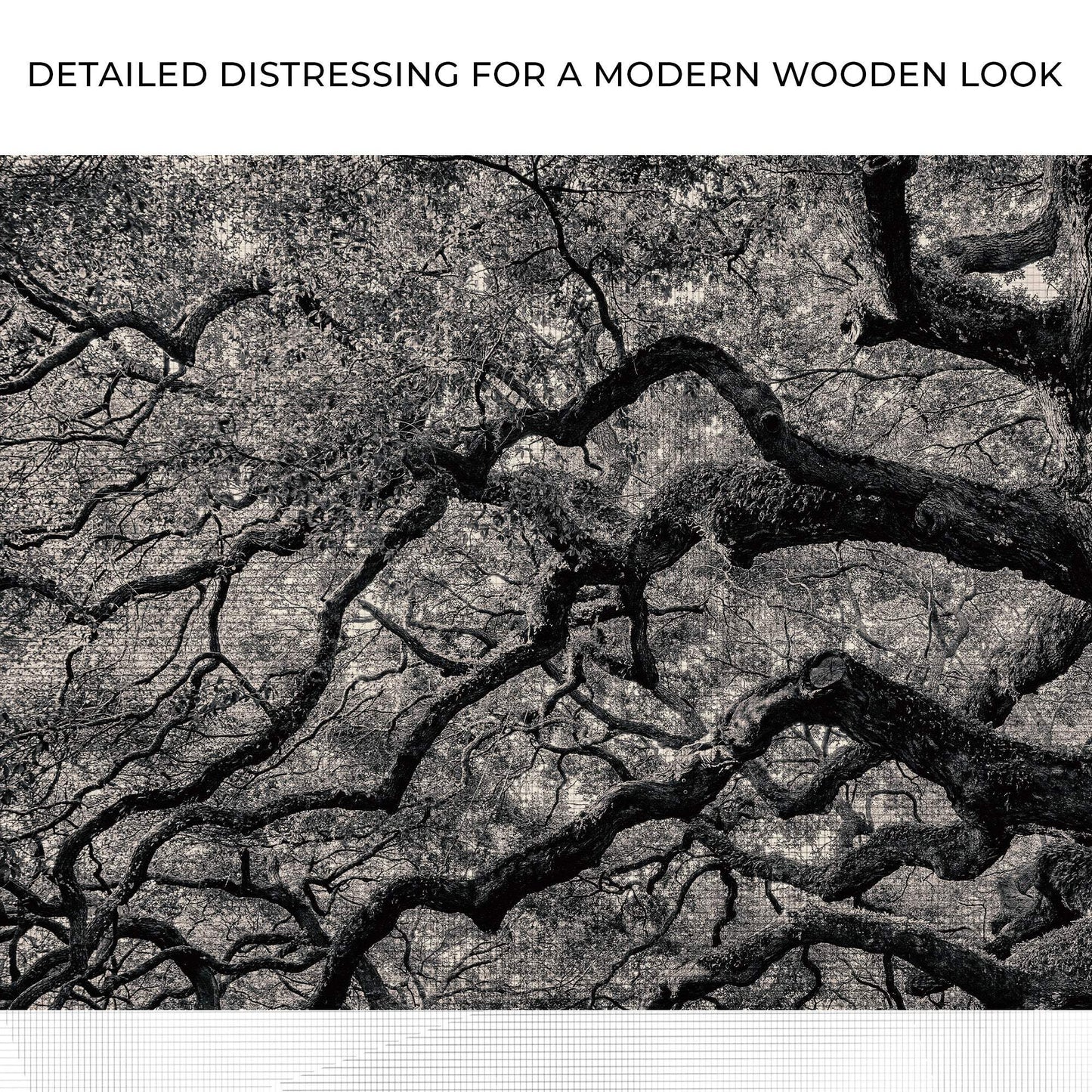 Monochrome Angel Oak Tree Canvas Wall Art - Tailored Canvases - Flyclothing LLC