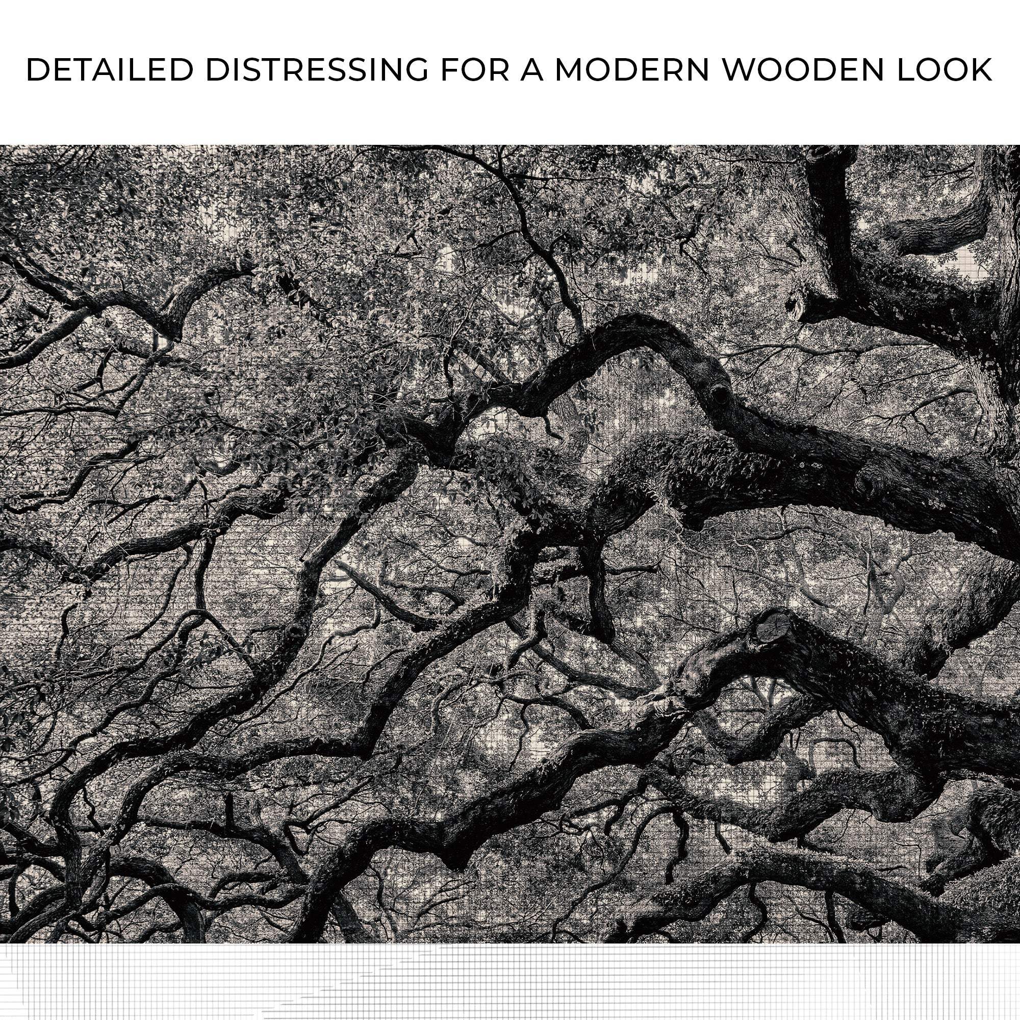Monochrome Angel Oak Tree Canvas Wall Art - Tailored Canvases - Flyclothing LLC
