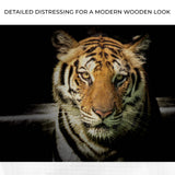 Lurking Tiger In The Dark Canvas Wall Art - Tailored Canvases - Flyclothing LLC