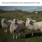 Flock Of Sheep Canvas Wall Art - Tailored Canvases - Flyclothing LLC