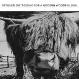 Curious Highland Cattle Monochrome Canvas Wall Art - Tailored Canvases - Flyclothing LLC
