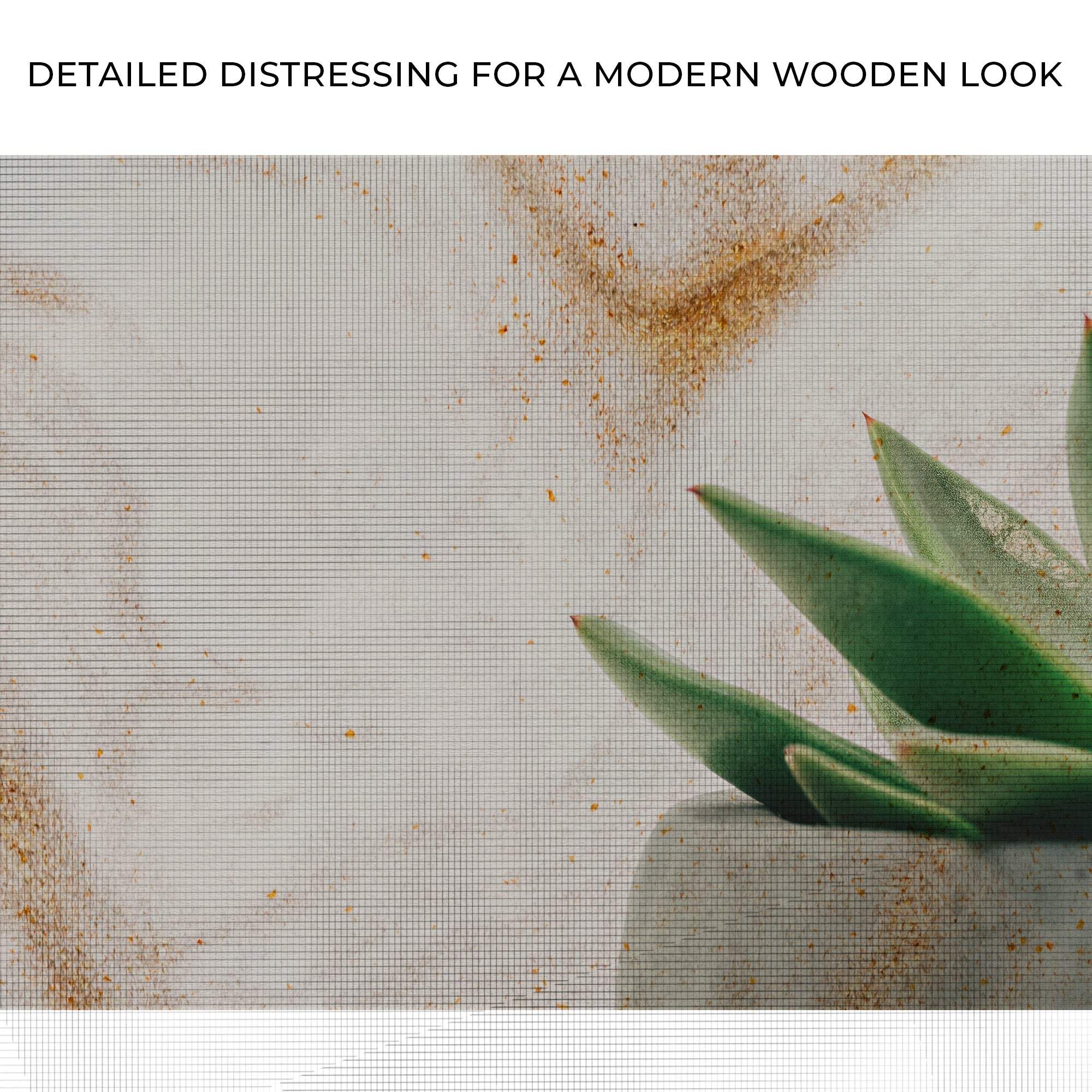 Stone Pot Succulent Plant Canvas Wall Art - Tailored Canvases - Flyclothing LLC