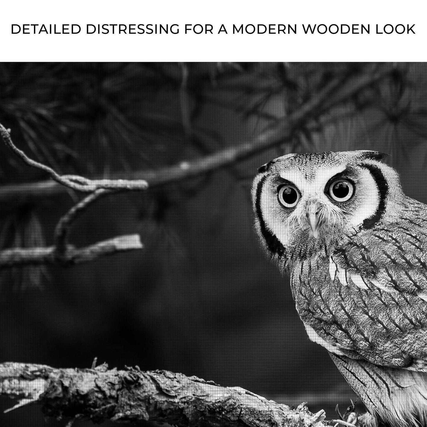 Black And White Owl Canvas Wall Art - Tailored Canvases - Flyclothing LLC
