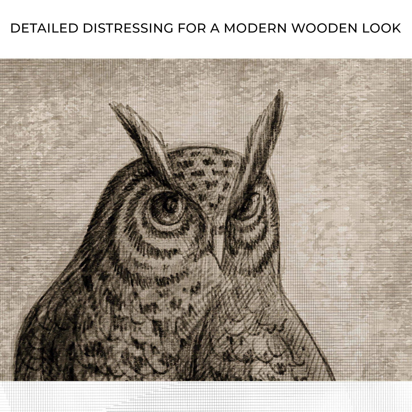 Owl Pencil Sketch Portrait Canvas Wall Art - Tailored Canvases - Flyclothing LLC