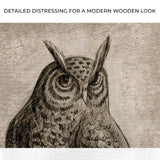Owl Pencil Sketch Portrait Canvas Wall Art - Tailored Canvases - Flyclothing LLC