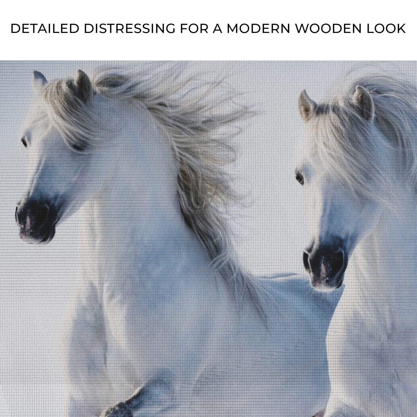 White Horse Couple Canvas Wall Art - Tailored Canvases - Flyclothing LLC