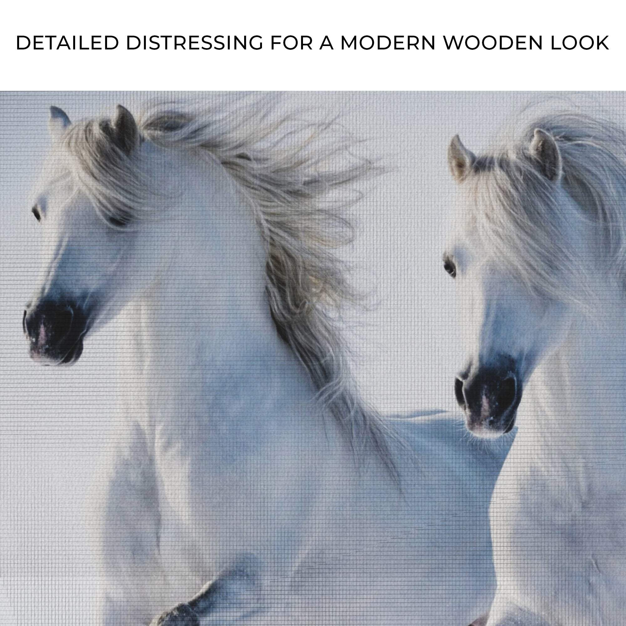 White Horse Couple Canvas Wall Art - Tailored Canvases - Flyclothing LLC
