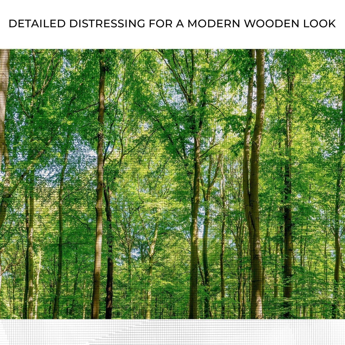Golden Rays Into The Forest Canvas Wall Art - Tailored Canvases - Flyclothing LLC