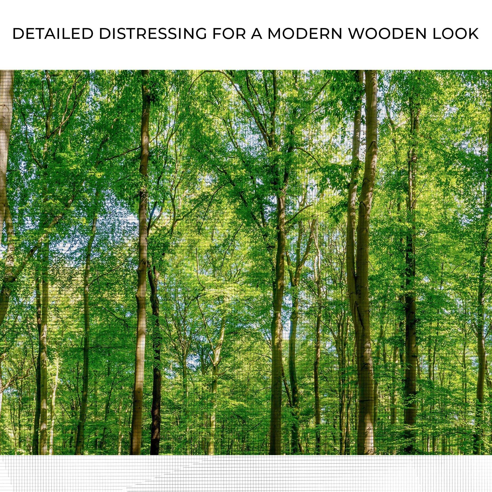 Golden Rays Into The Forest Canvas Wall Art - Tailored Canvases - Flyclothing LLC
