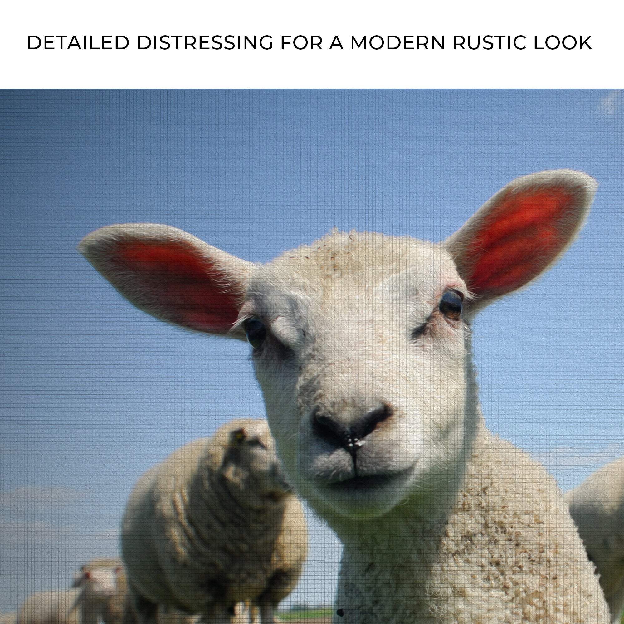 Curious Lamb Canvas Wall Art - Tailored Canvases - Flyclothing LLC