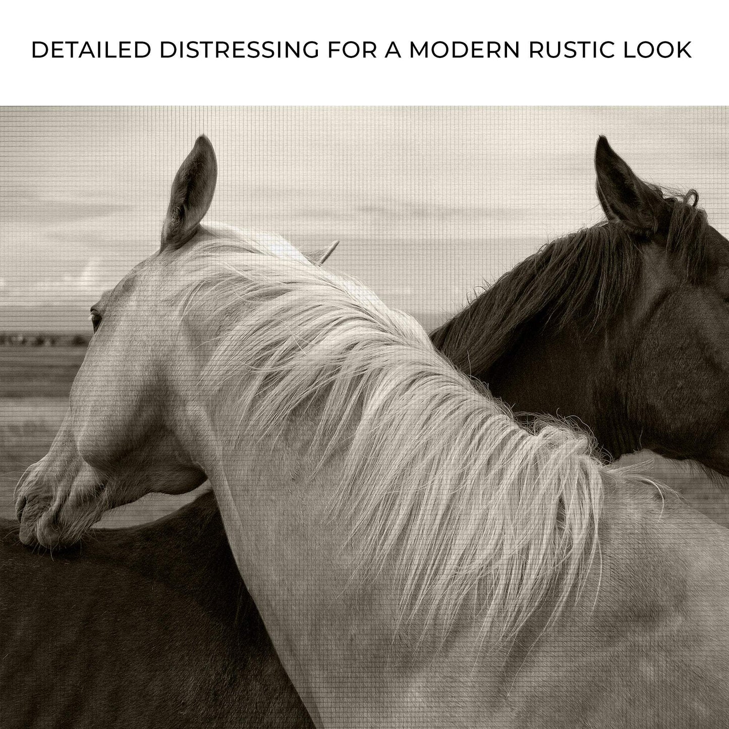 Monochrome Couple Horse Canvas Wall Art - Tailored Canvases - Flyclothing LLC