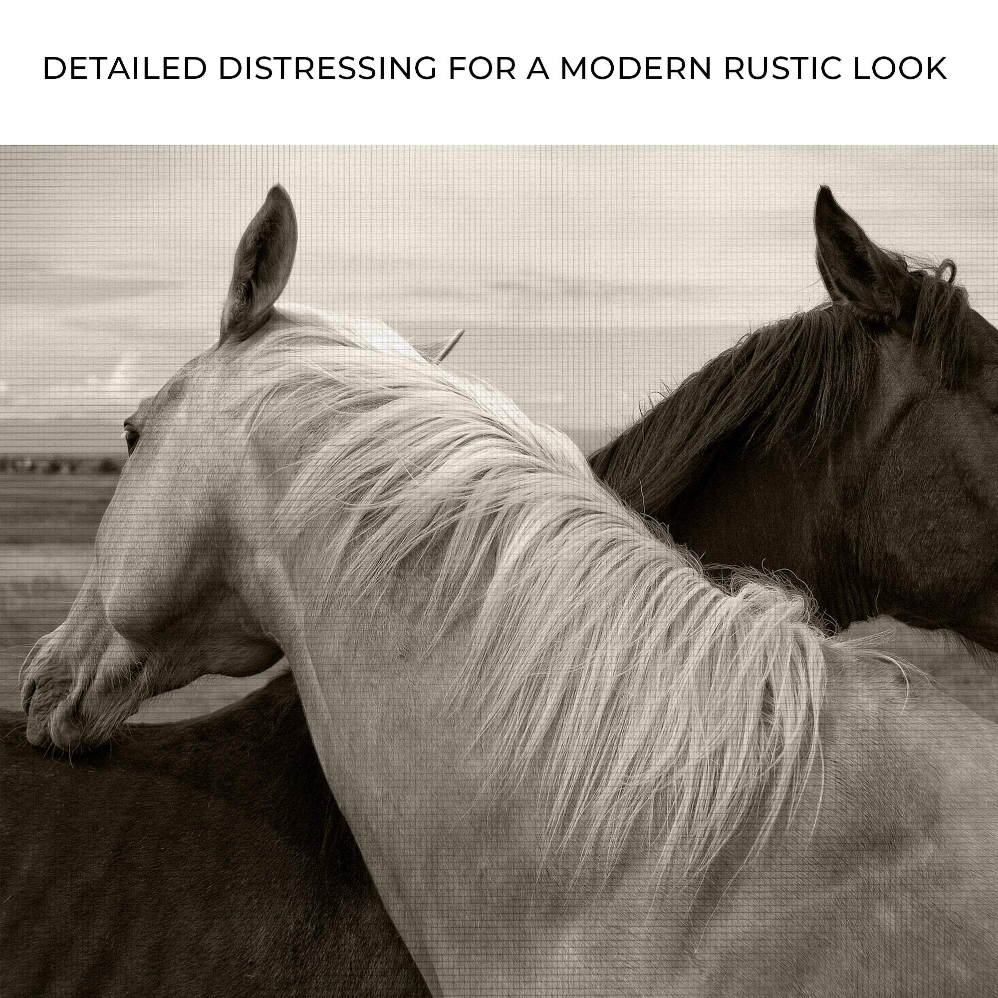 Monochrome Couple Horse Canvas Wall Art - Tailored Canvases - Flyclothing LLC