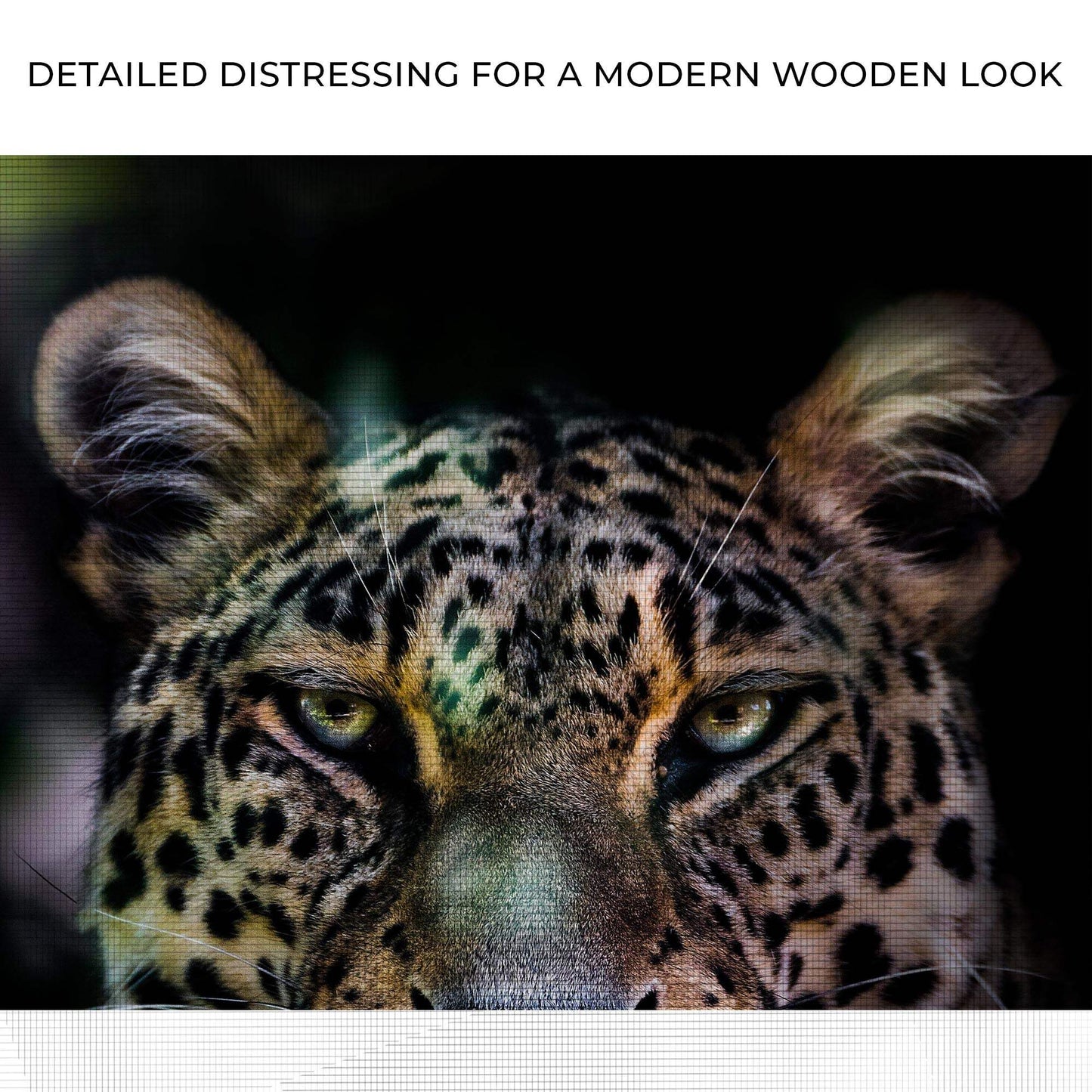 Sneaky Jungle Leopard Portrait Canvas Wall Art - Tailored Canvases - Flyclothing LLC