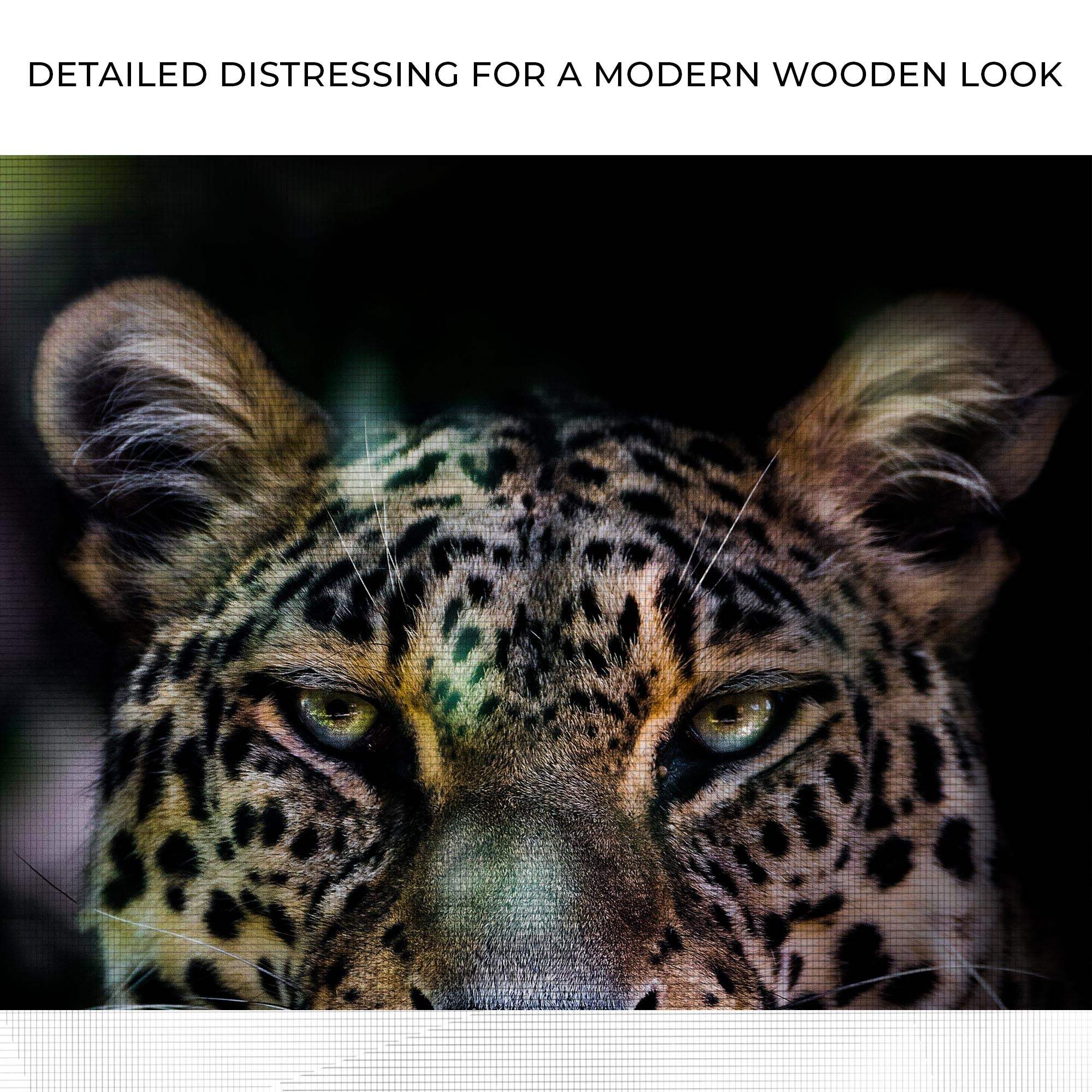 Sneaky Jungle Leopard Portrait Canvas Wall Art - Tailored Canvases - Flyclothing LLC