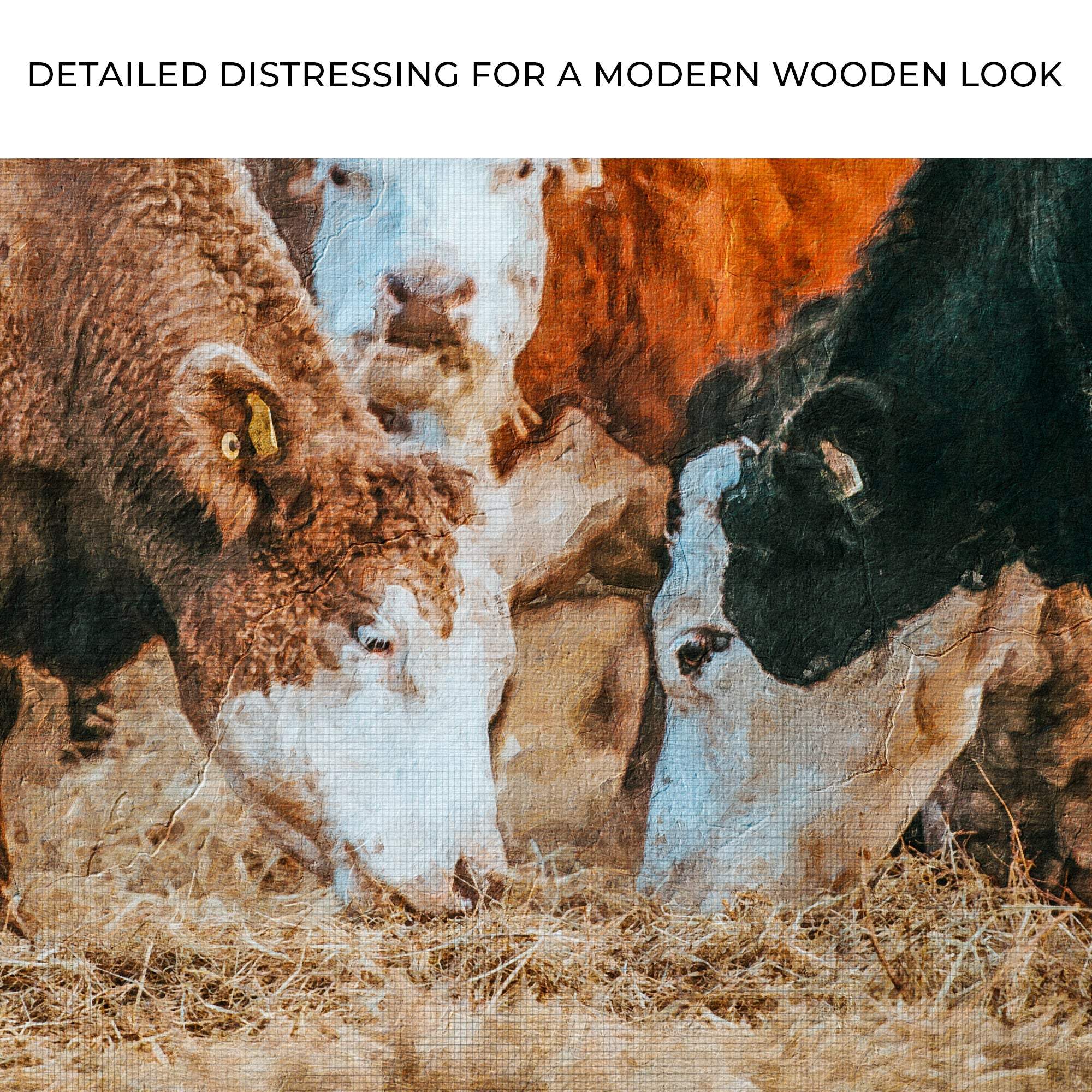 Family Of Hereford Cattle Canvas Wall Art - Tailored Canvases - Flyclothing LLC