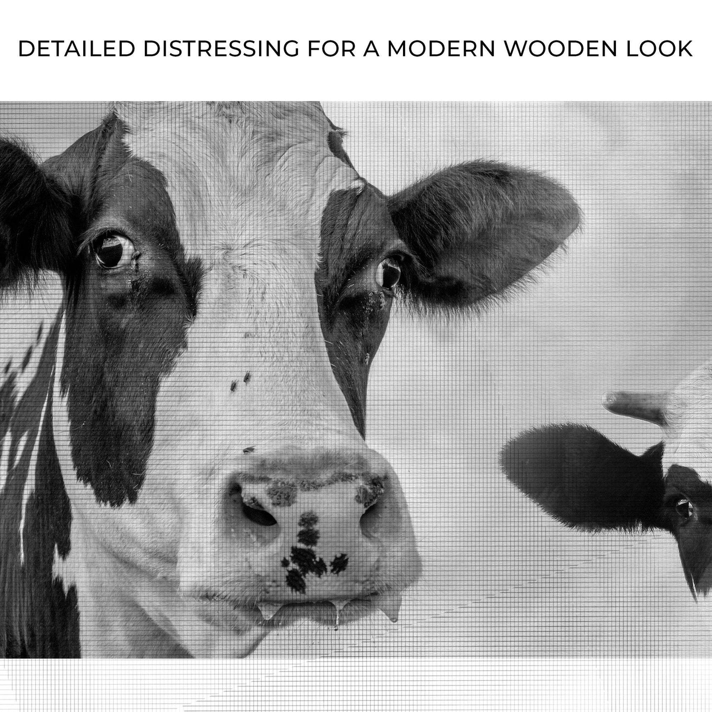 Monochrome Holstein Cows Canvas Wall Art - Tailored Canvases - Flyclothing LLC