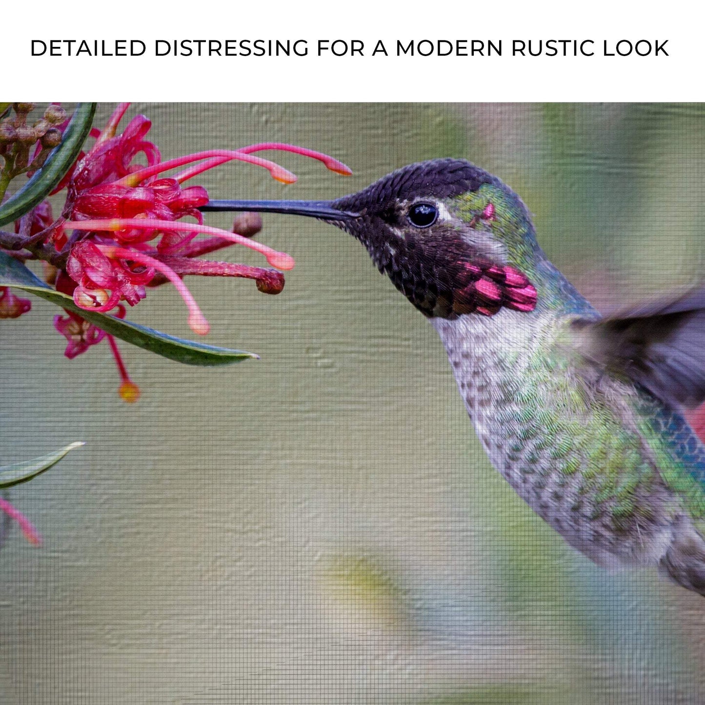 Hummingbird Spring Canvas Wall Art - Tailored Canvases - Flyclothing LLC
