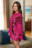 Sequin Round Neck Long Sleeve Sweater - Trendsi