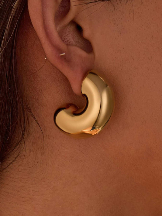 Stainless Steel Chunky Twist Earrings - Trendsi - Flyclothing LLC