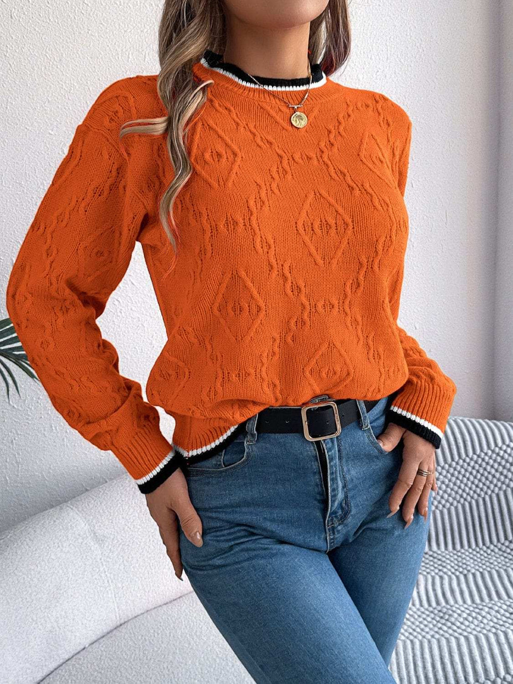 Contrast Trim Round Neck Long Sleeve Sweater - Trendsi - Flyclothing LLC